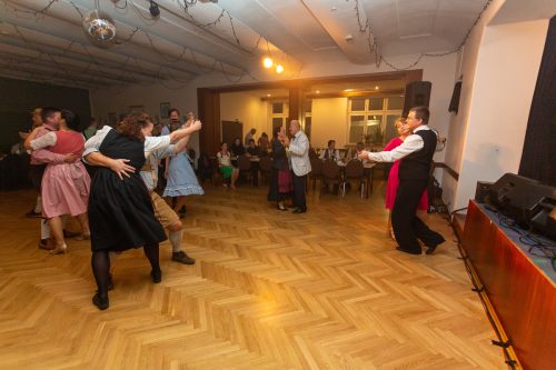 IMG 4208